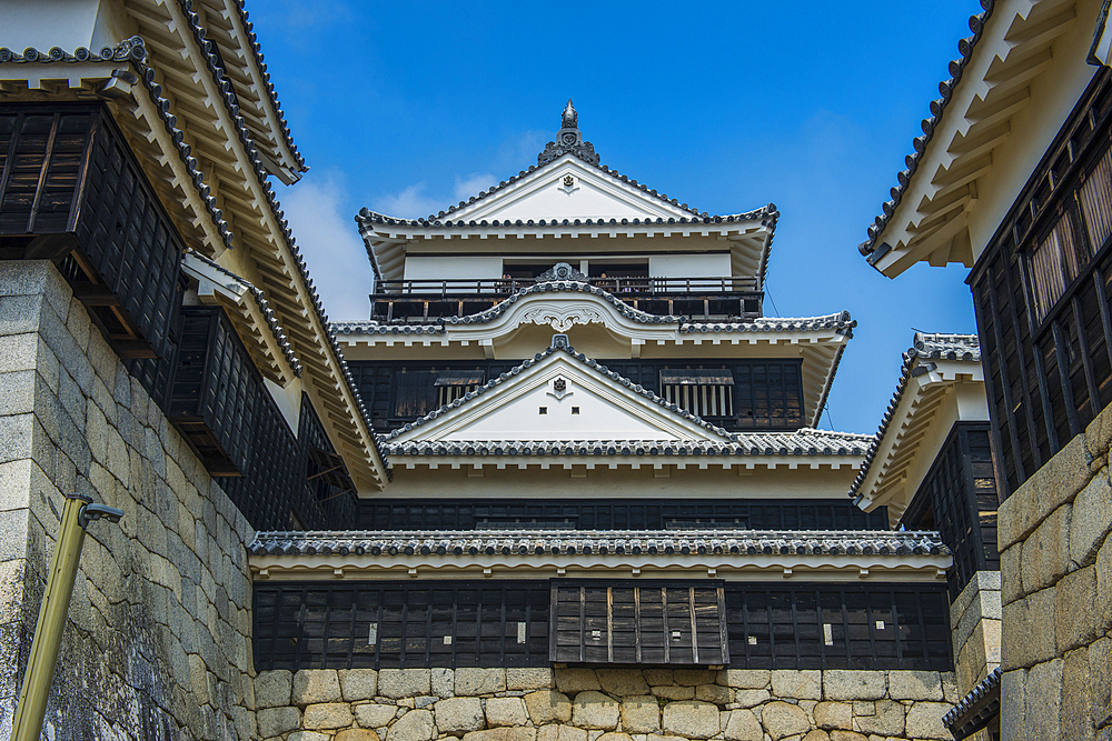 Matsuyama Castle, Shikoku, Japan, Asia