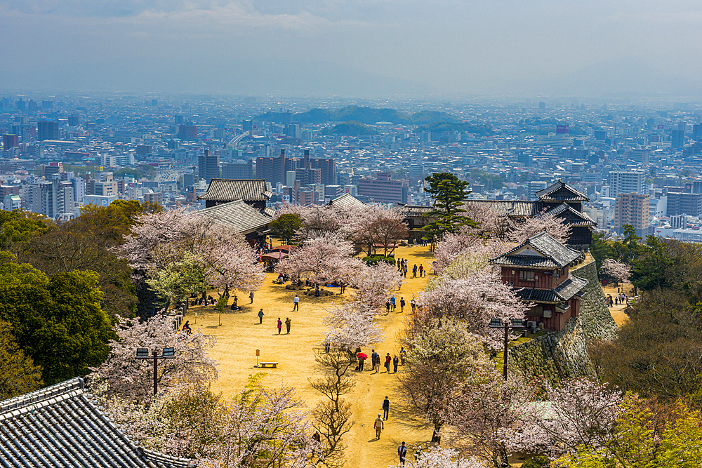 Matsuyama Castle, Shikoku, Japan, Asia