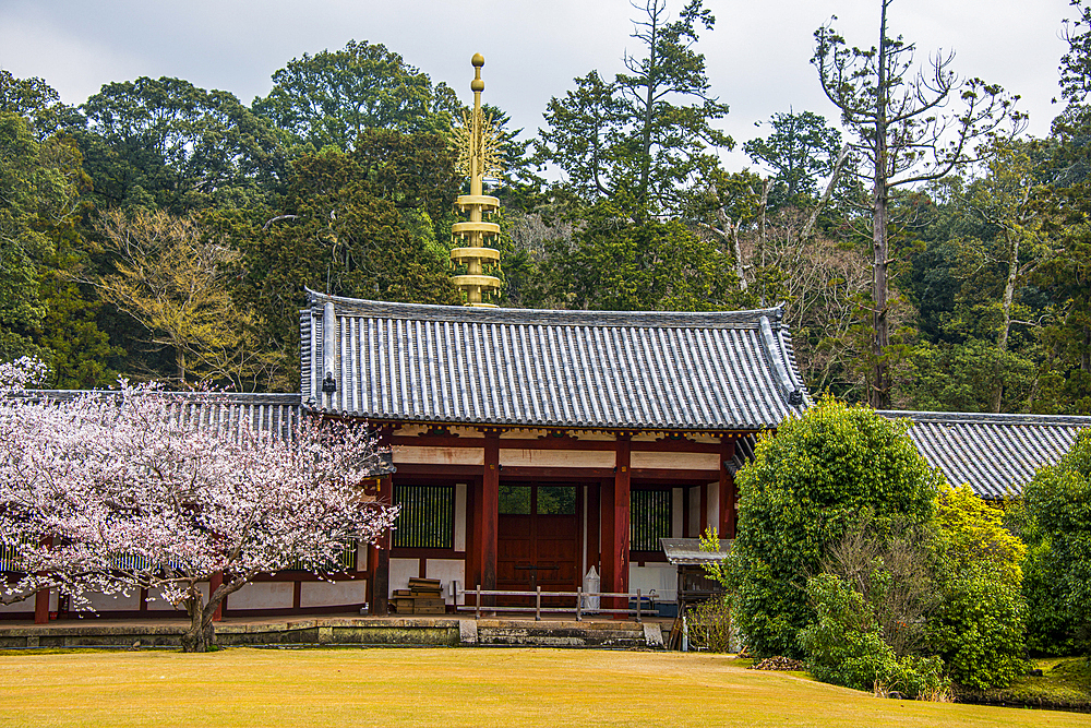 Todaiji Temple, UNESCO World Heritage Site, Nara, Kansai, Honshu, Japan, Asia