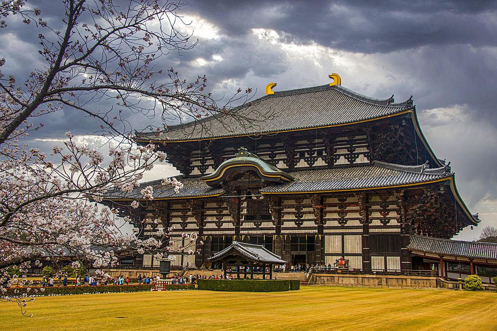 Todaiji Temple, UNESCO World Heritage Site, Nara, Kansai, Honshu, Japan, Asia