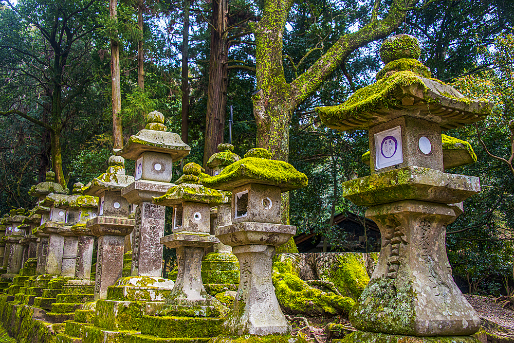 Lots of stone lanterns in Nara Park, UNESCO World Heritage Site, Nara, Kansai, Honshu, Japan, Asia