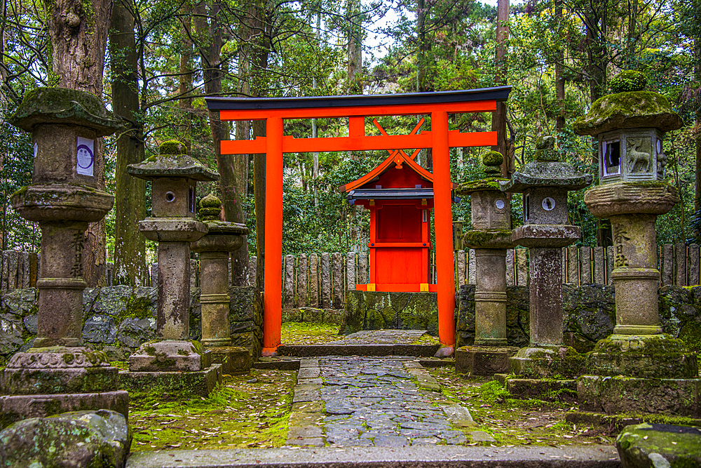 Red arch and stone lanterns, UNESCO World Heritage Site, Nara, Kansai, Honshu, Japan, Asia