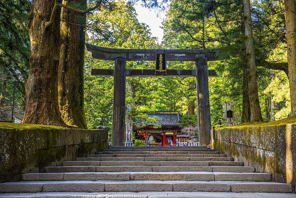 Entrance gate to the Toshogu Shrine, UNESCO World Heritage Site, Nikko, Tochigi Prefecture, Kanto, Honshu, Japan, Asia