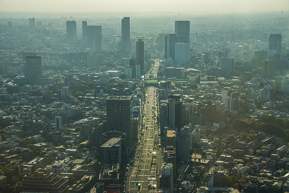 Hazy view over Tokyo from the Mori Tower, Roppongi Hills, Tokyo, Honshu, Japan, Asia