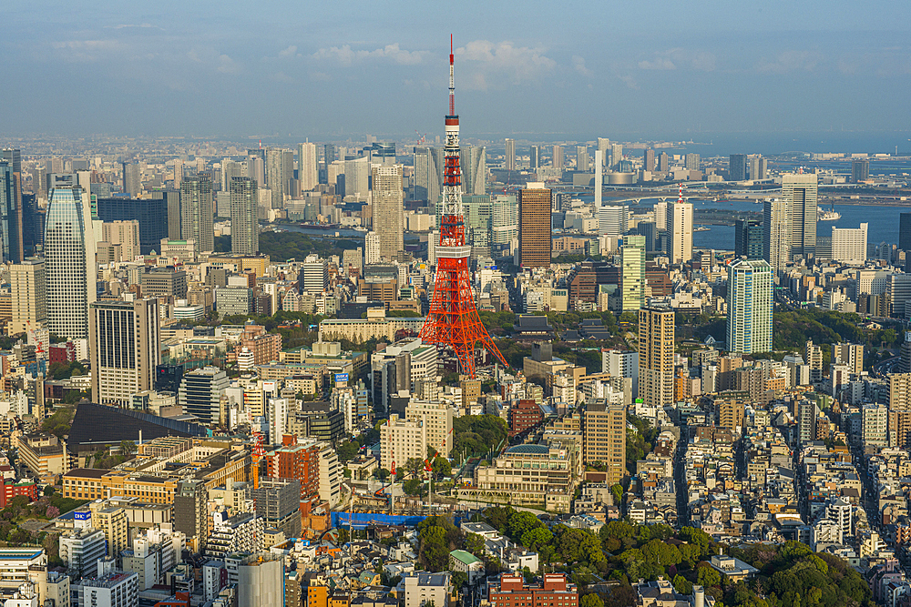 View over Tokyo with the Tokyo Tower, from the Mori Tower, Roppongi Hills, Tokyo, Honshu, Japan, Asia