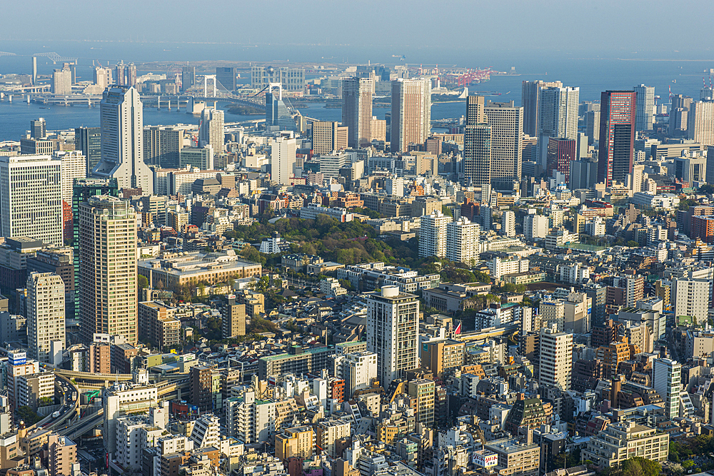 View over Tokyo from the Roppongi Hills, Tokyo, Honshu, Japan, Asia