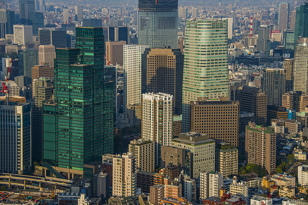 View over Tokyo from the Mori Tower, Roppongi Hills, Tokyo, Honshu, Japan, Asia