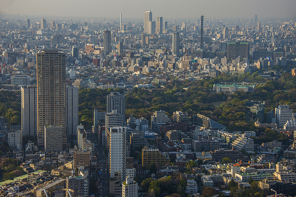 View over Tokyo from the Roppongi Hills, Tokyo, Honshu, Japan, Asia