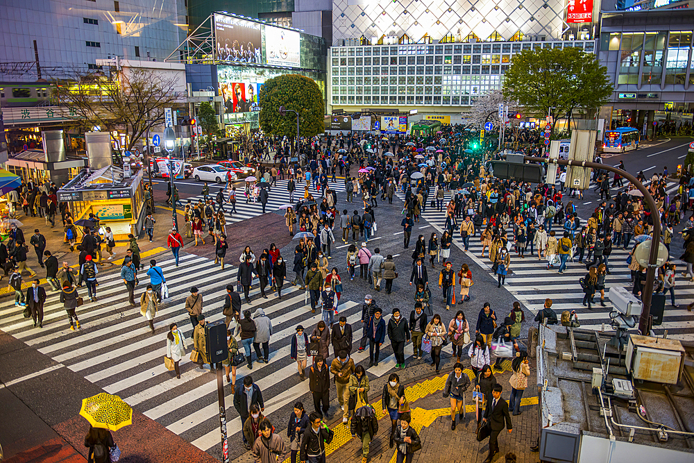 People crossing the busiest street crossing, Shibuya crossing, Tokyo, Honshu, Japan, Asia