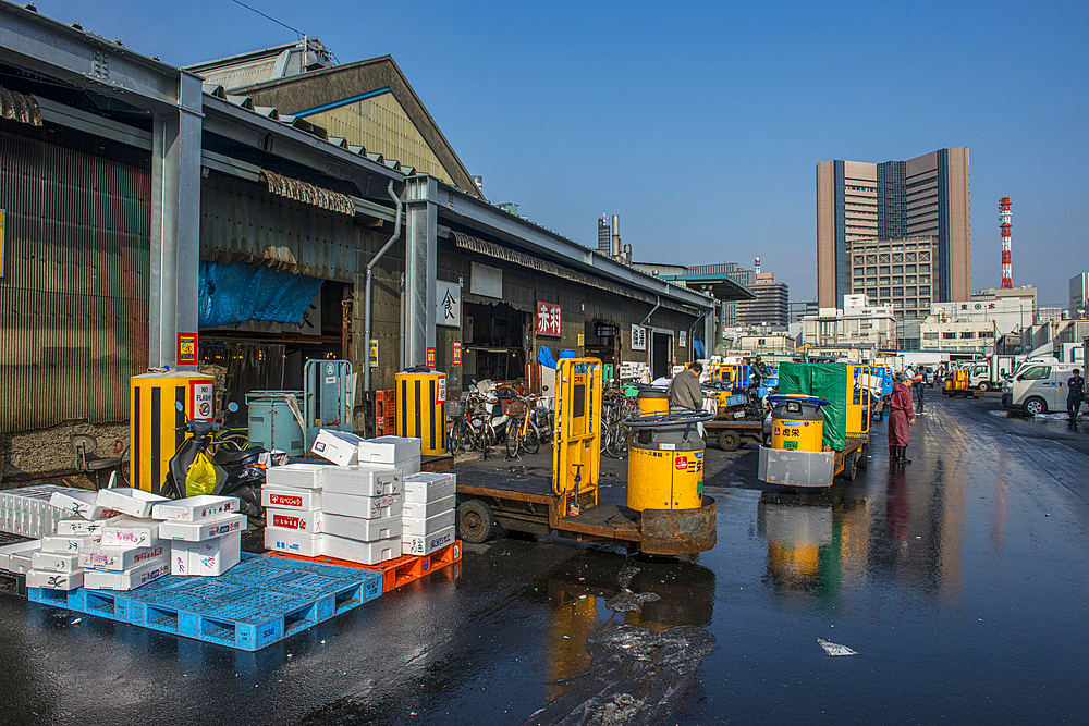 Tsukiji Fish Market, Tokyo, Honshu, Japan, Asia