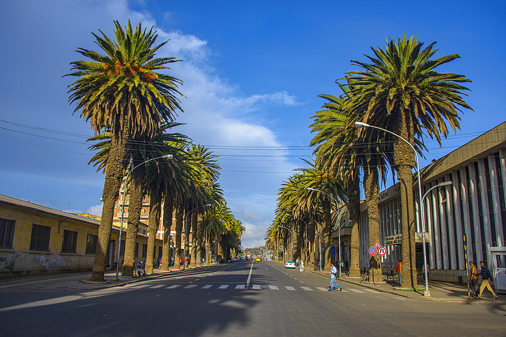 Palm lined avenue in Asmara, Eritrea, Africa