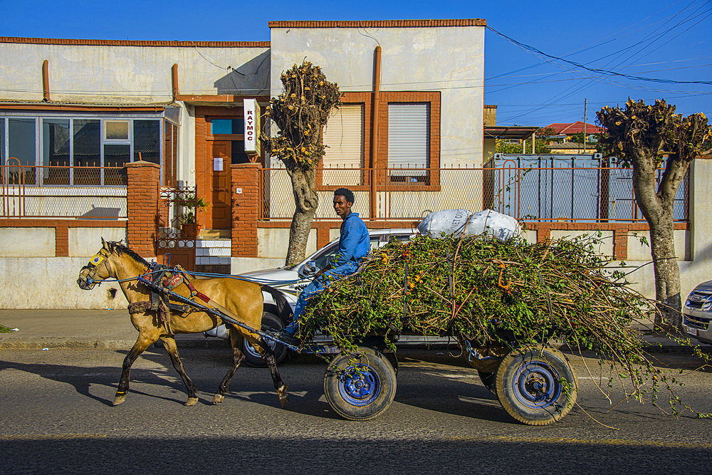 Horse cart in the streets of Asmara, Eritrea, Africa