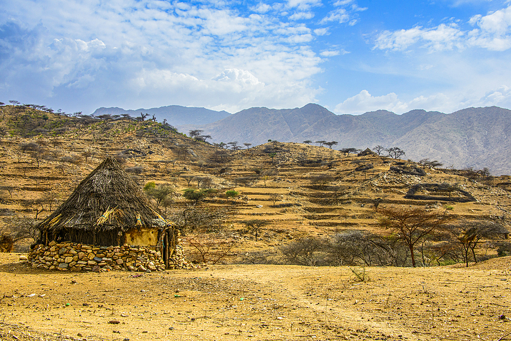 Traditional hut in the highlands of Eritrea, Africa