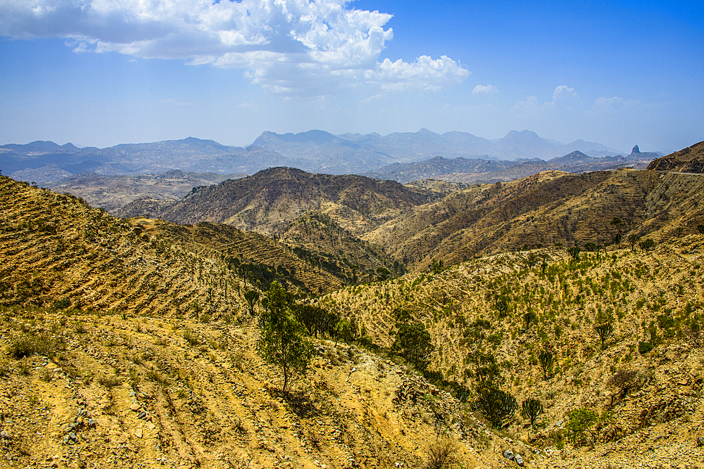 The highlands of Eritrea near Keren, Eritrea, Africa