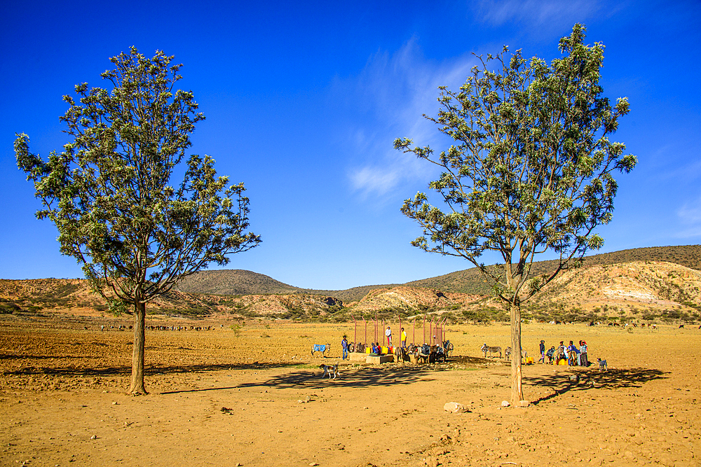 Waterhole along the road from Asmara to Qohaito, Eritrea, Africa