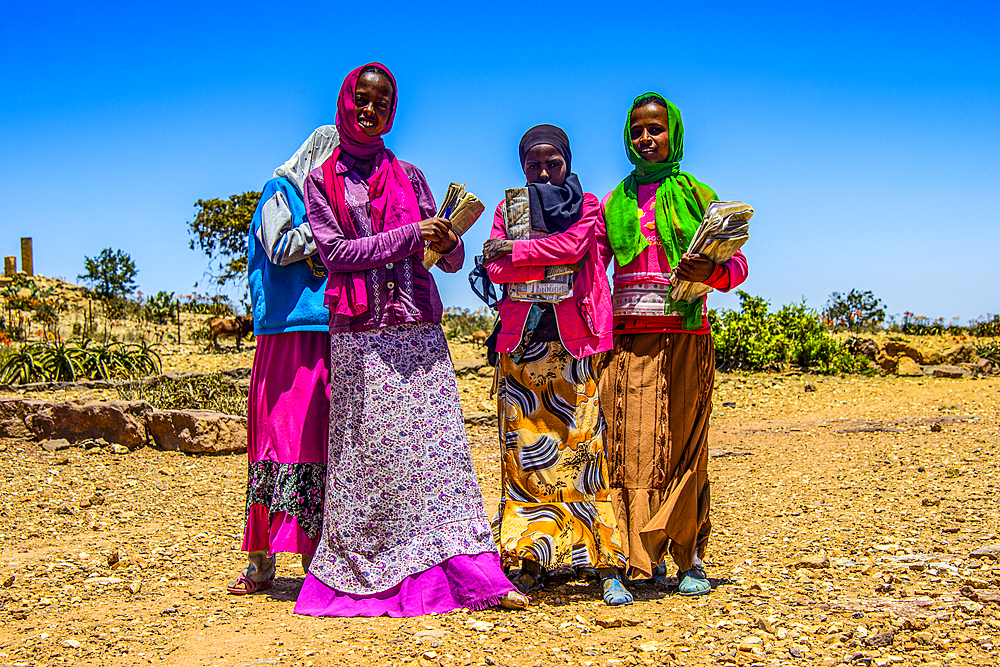 Colourfully dressed schoolgirls at their way home at the Pre-Aksumite settlement of Qohaito (Koloe), Eritrea, Africa