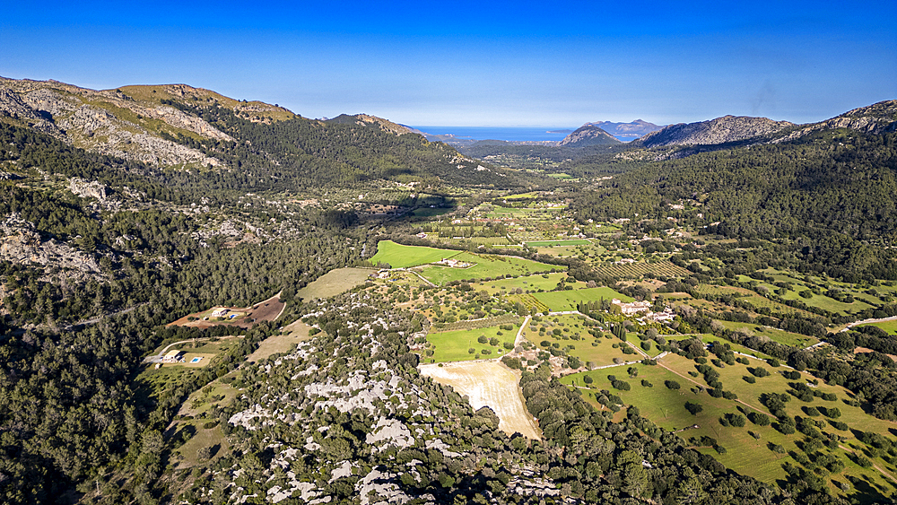 Aerial of the beautiful valley behind Pollenca, Mallorca, Balearic islands, Spain, Mediterranean, Europe