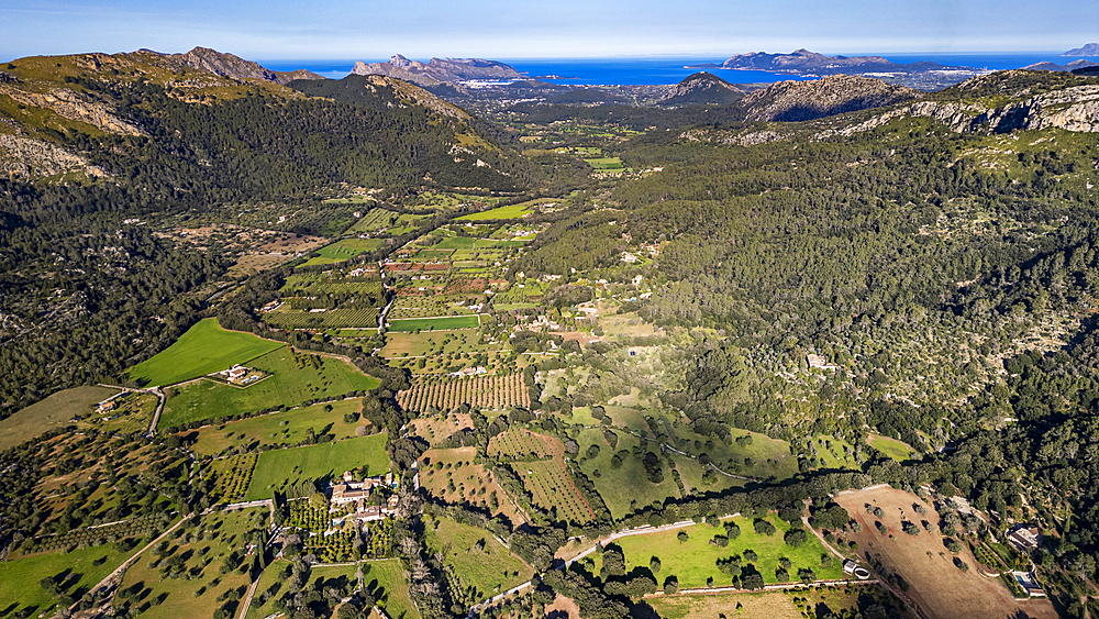 Aerial of the beautiful valley behind Pollenca, Mallorca, Balearic islands, Spain, Mediterranean, Europe