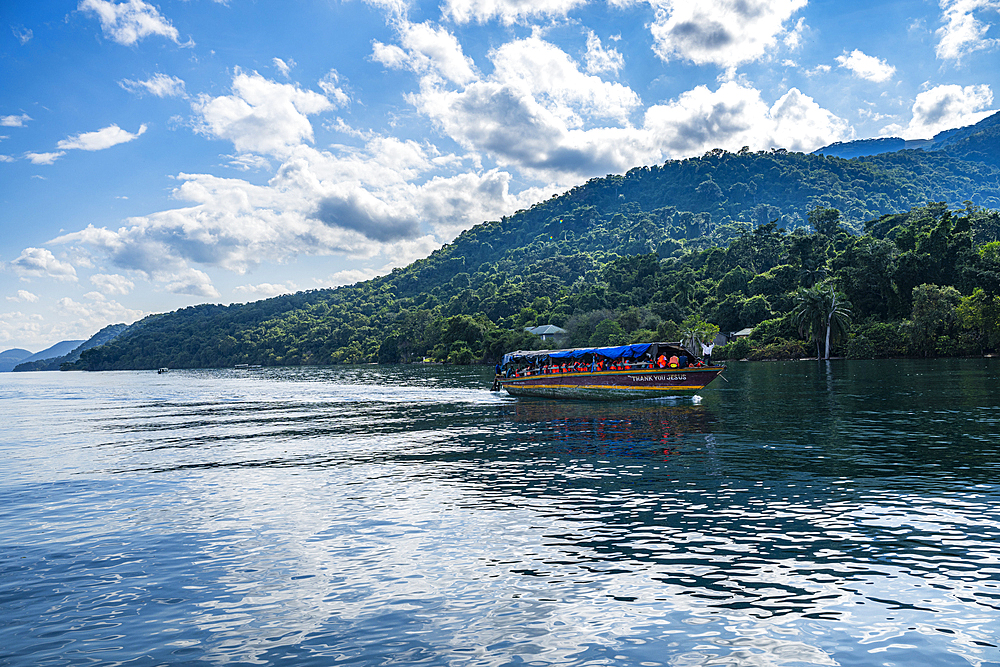 Rain forest in the Gombe Stream National Park, Lake Tanganyika, Tanzania, East Africa, Africa