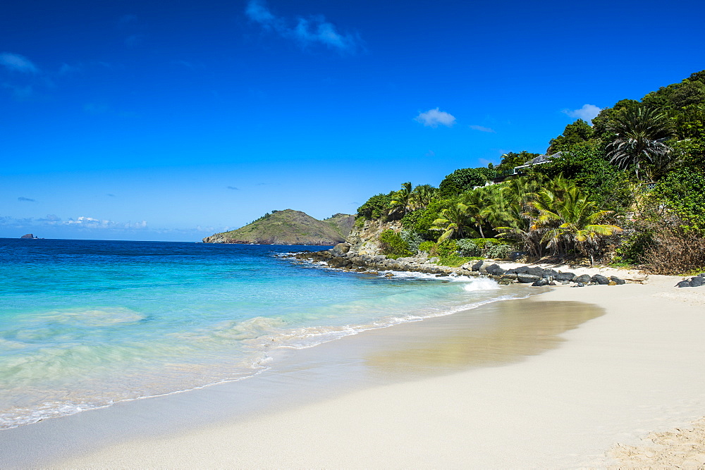 Flamand Beach, St. Barth (Saint Barthelemy), Lesser Antilles, West Indies, Caribbean, Central America