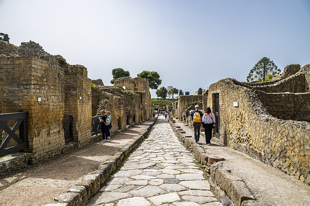 Roman town of Herculaneum, UNESCO World Heritage Site, Campania, Italy, Europe