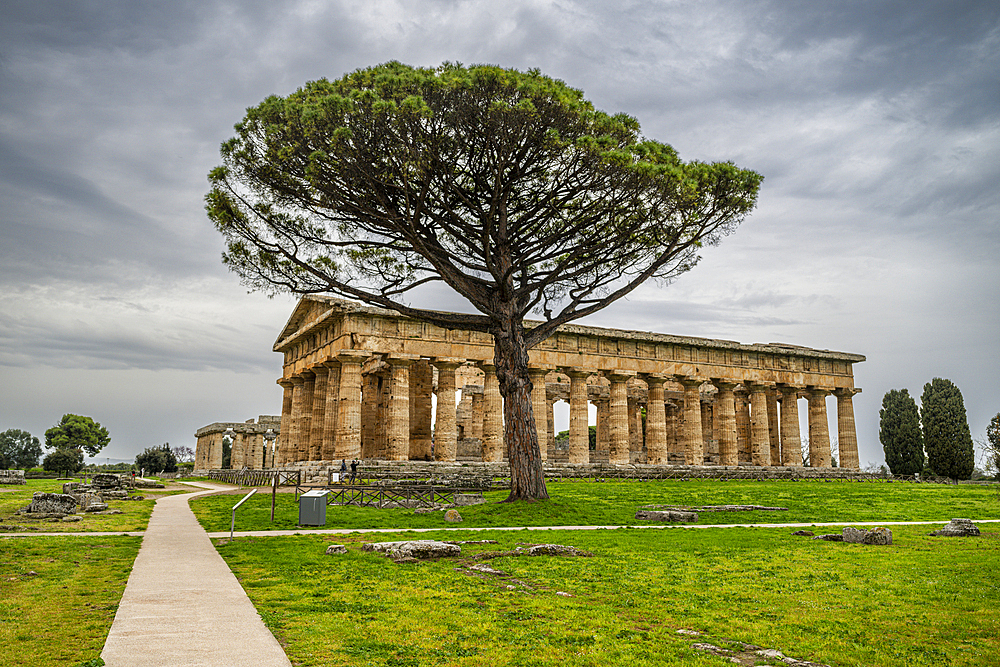 The Greek temples of Paestum, UNESCO World Heritage Site, Campania, Italy, Europe