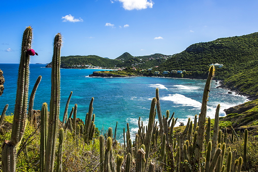 View over the coastline of St. Barth (Saint Barthelemy), Lesser Antilles, West Indies, Caribbean, Central America