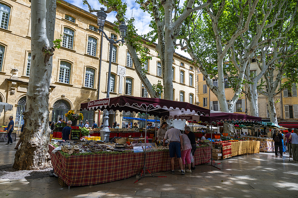 Market in the old city center of Aix en Province, Bouches du Rhone, Provence-Alpes Maritimes-Cote d'Azur, France, Europe