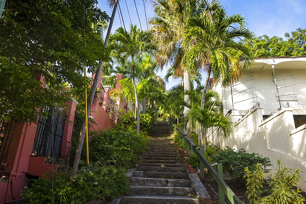 99 steps, little alley in Charlotte Amalie, capital of St. Thomas, US Virgin Islands, West Indies, Caribbean, Central America