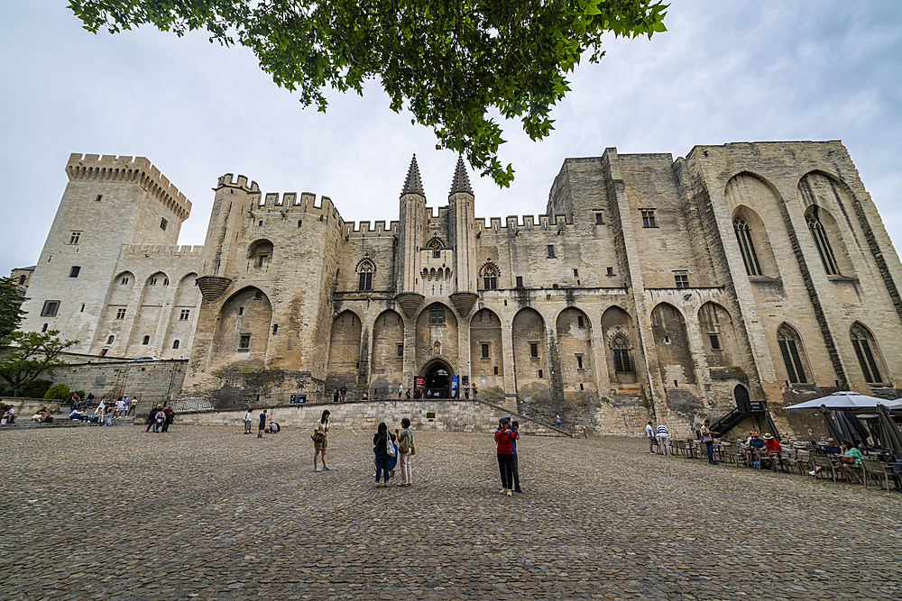 Palace of the Popes, Avignon, UNESCO World Heritage Site, Vaucluse, Provence-Alpes-Cote d'Azur, France, Europe