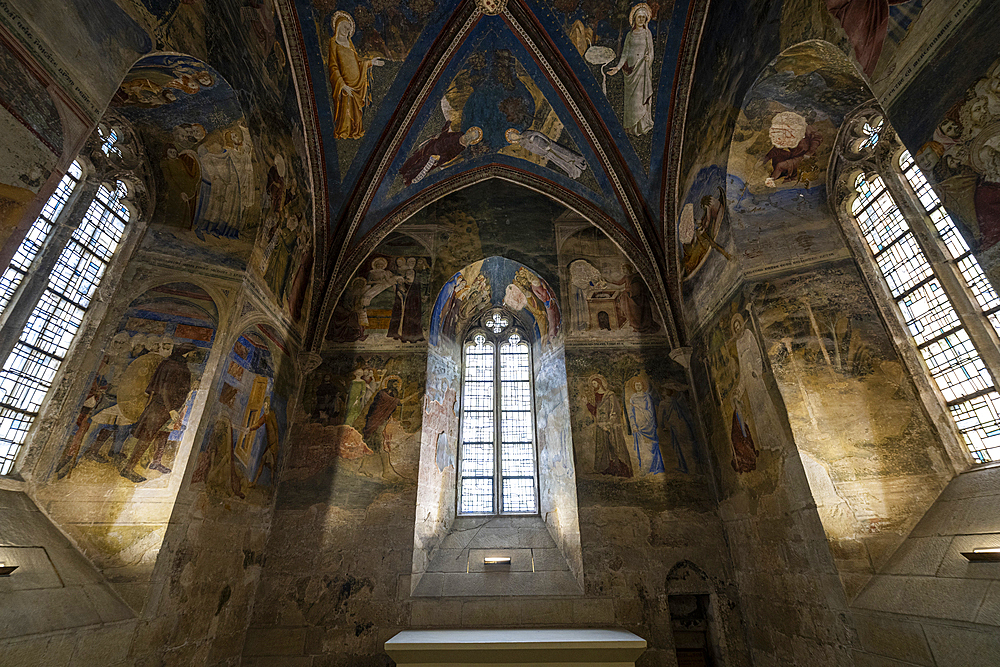 Palace of the Popes, Avignon, UNESCO World Heritage Site, Vaucluse, Provence-Alpes-Cote d'Azur, France, Europe