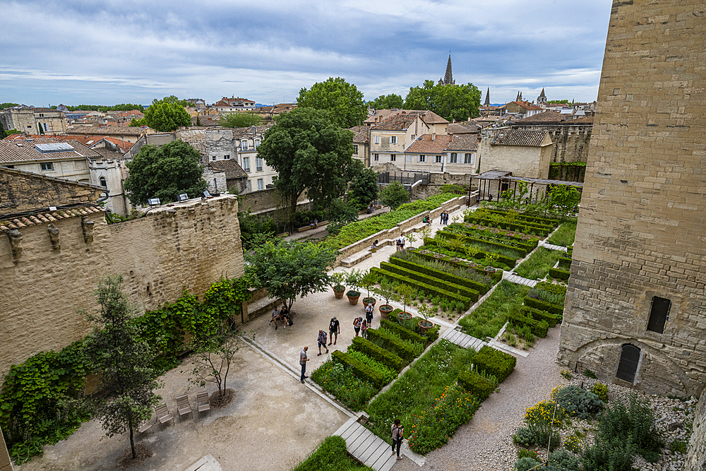 Palace of the Popes, Avignon, UNESCO World Heritage Site, Vaucluse, Provence-Alpes-Cote d'Azur, France, Europe