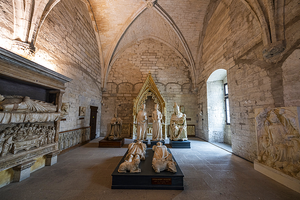 Palace of the Popes, Avignon, UNESCO World Heritage Site, Vaucluse, Provence-Alpes-Cote d'Azur, France, Europe