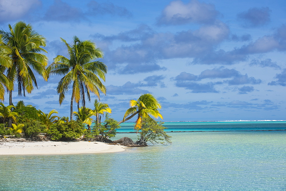 White sand bank in the turquoise waters of the Aitutaki lagoon, Rarotonga and the Cook Islands, South Pacific, Pacific