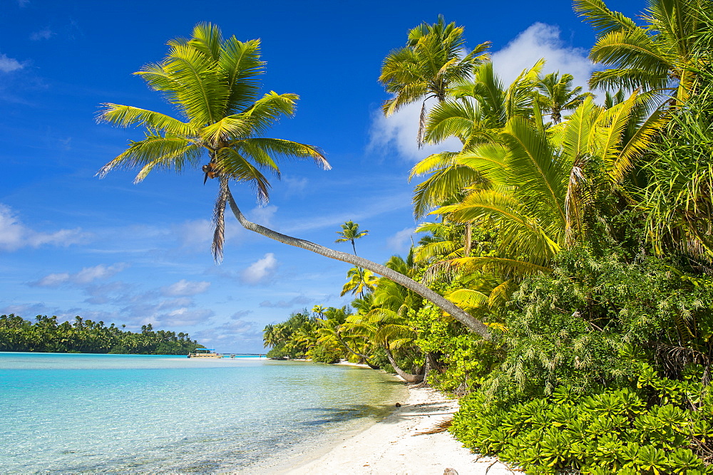 White sand bank in the turquoise waters of the Aitutaki lagoon, Rarotonga and the Cook Islands, South Pacific, Pacific