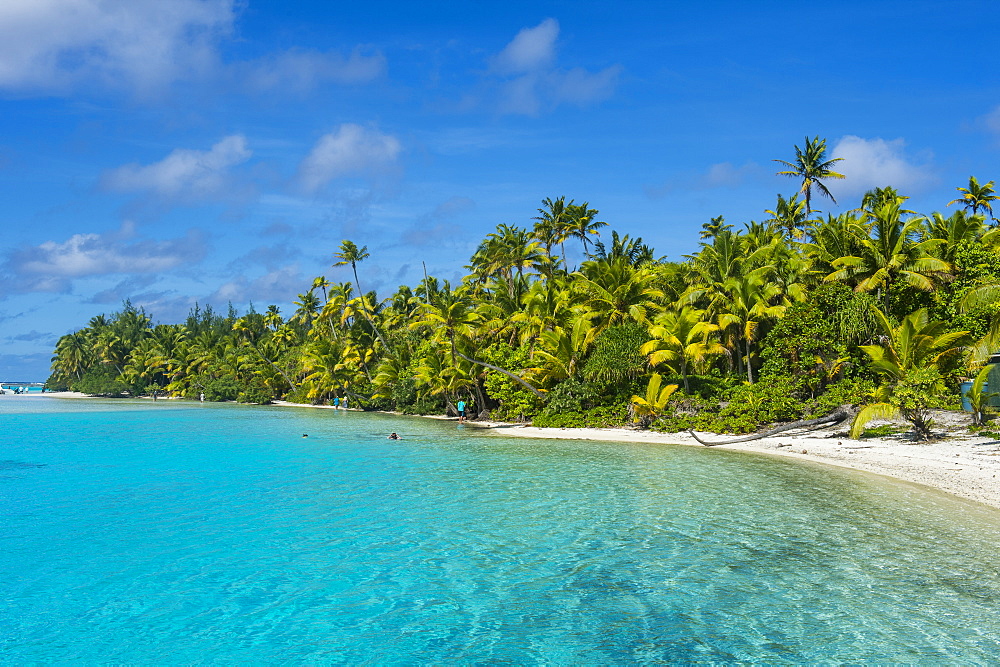 White sand bank in the turquoise waters of the Aitutaki lagoon, Rarotonga and the Cook Islands, South Pacific, Pacific