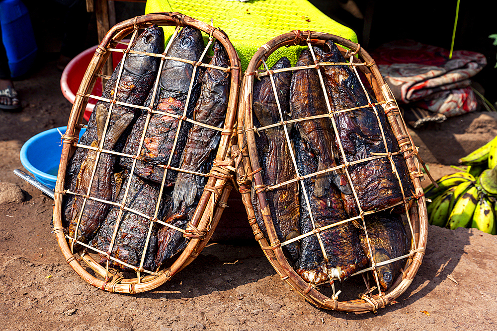 Dry fish for sale on a Market, Mbandaka, Equateur province, Democratic Republic of Congo, Africa