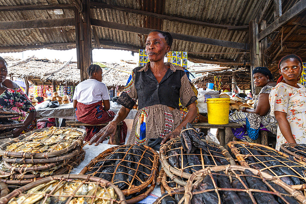 Bush meat Market, Mbandaka, Equateur province, Democratic Republic of Congo, Africa