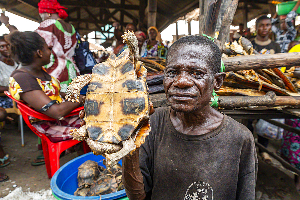 Bush meat Market, Mbandaka, Equateur province, Democratic Republic of Congo, Africa