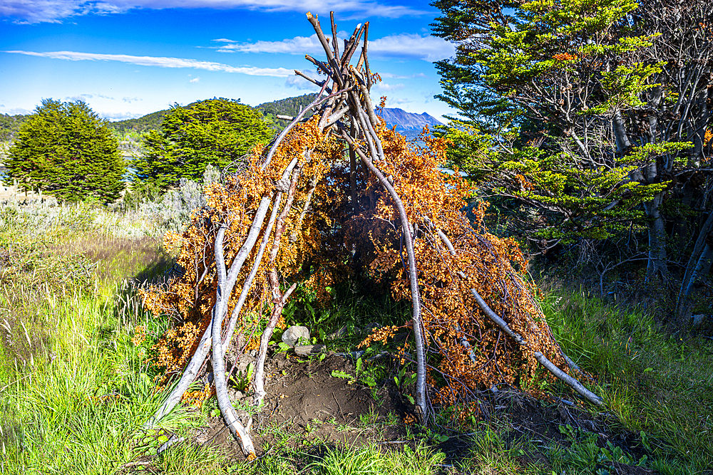 Remodel of a traditional housing, Wulaia Bay, Tierra del Fuego, Chile, South America