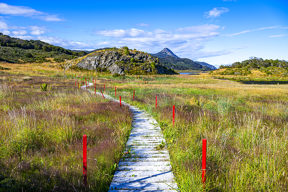 Foodpath in Wulaia Bay, Tierra del Fuego, Chile, South America