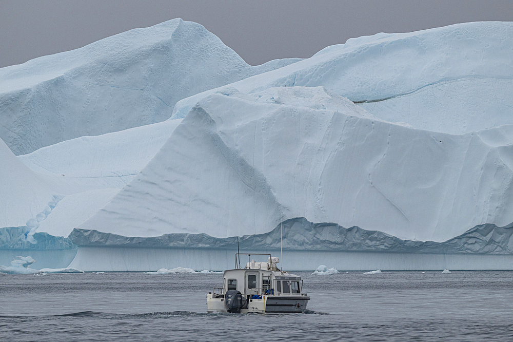 Little boat between the icebergs of the Ilulissat Icefjord, UNESCO World Heritage Site, Western Greenland, Denmark, Polar Regions