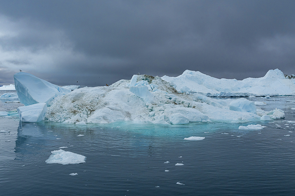 Floating icebergs, Ilulissat Icefjord, UNESCO World Heritage Site, Western Greenland, Denmark, Polar Regions