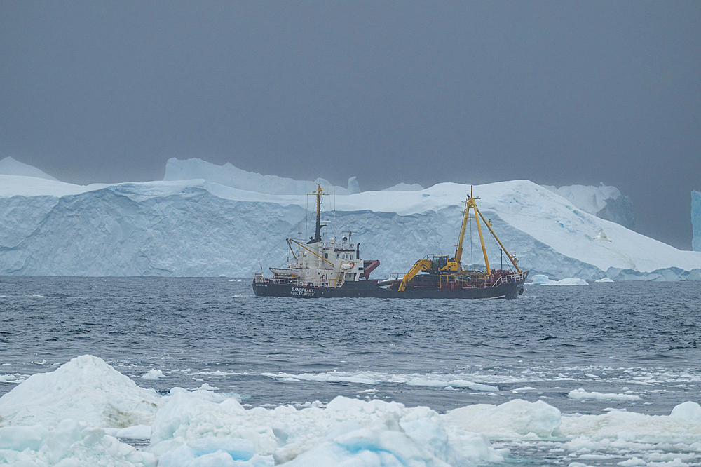 Fish trawler between the icebergs of the Ilulissat Icefjord, UNESCO World Heritage Site, Western Greenland, Denmark, Polar Regions