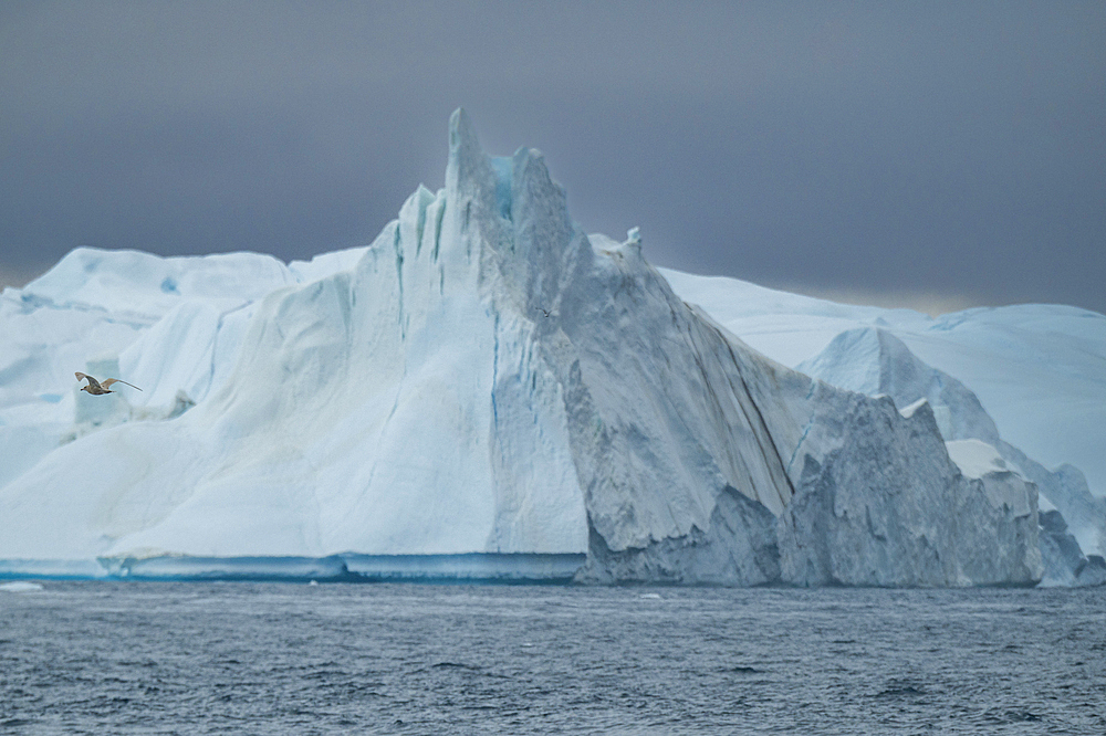 Floating icebergs, Ilulissat Icefjord, UNESCO World Heritage Site, Western Greenland, Denmark, Polar Regions