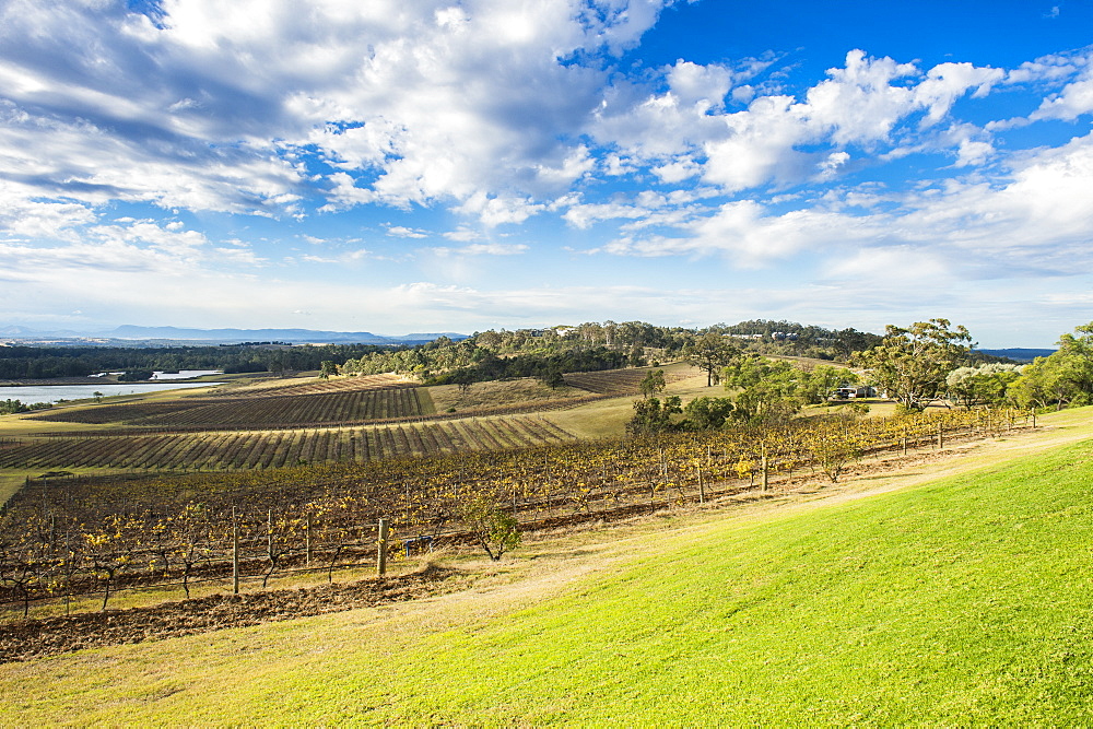 View over the wine region of the Hunter Valley, New South Wales, Australia, Pacific