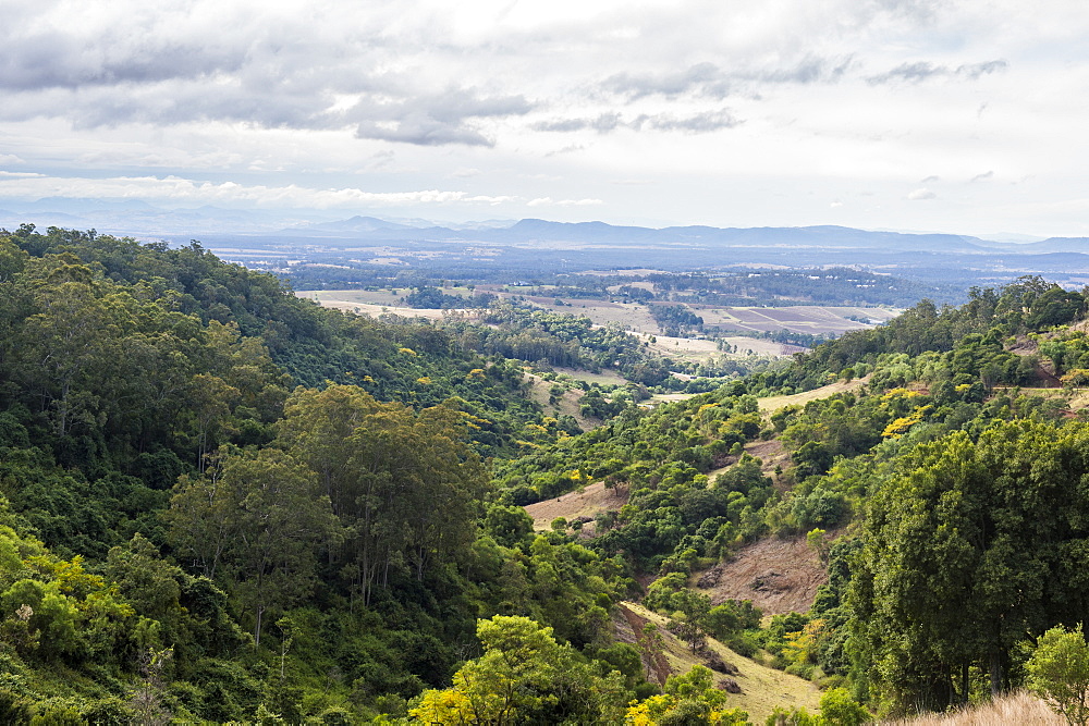 View over the wine region of the Hunter Valley, New South Wales, Australia, Pacific