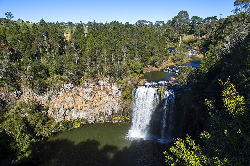 Dangar Falls, UNESCO World Heritage Site, Dorrigo National Park, New South Wales, Australia, Pacific