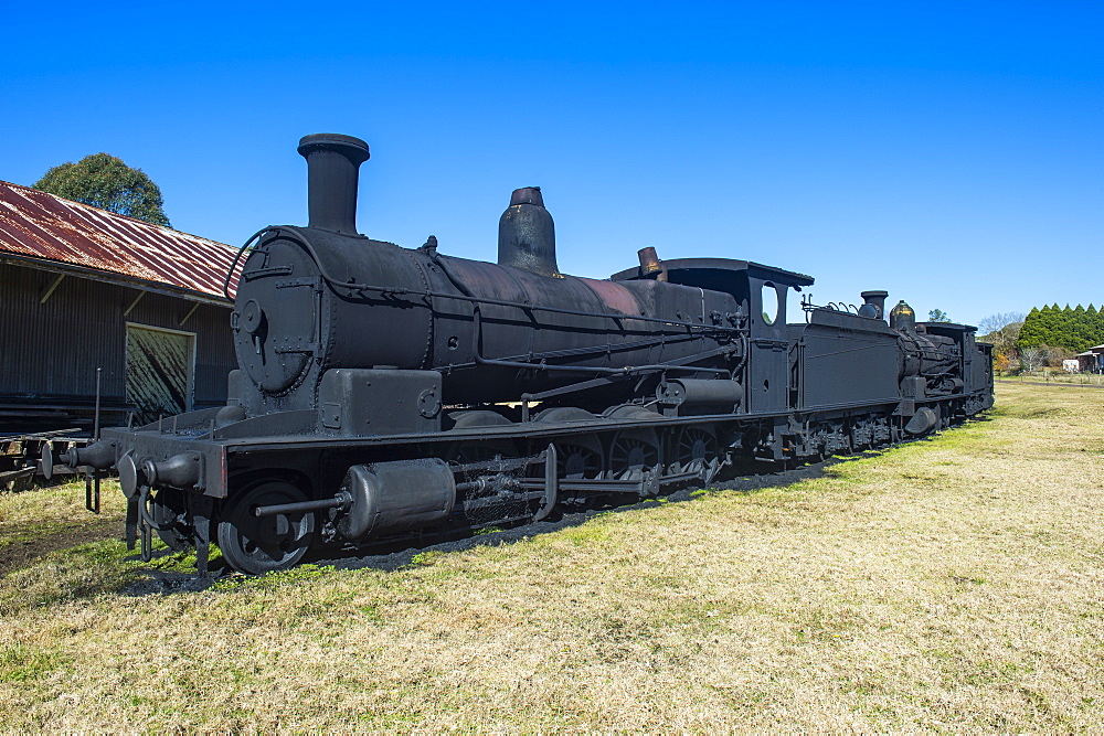 Old steam trains from the Dorrigo railway line, Dorrigo National Park, UNESCO World Heritage Site, New South Wales, Australia, Pacific