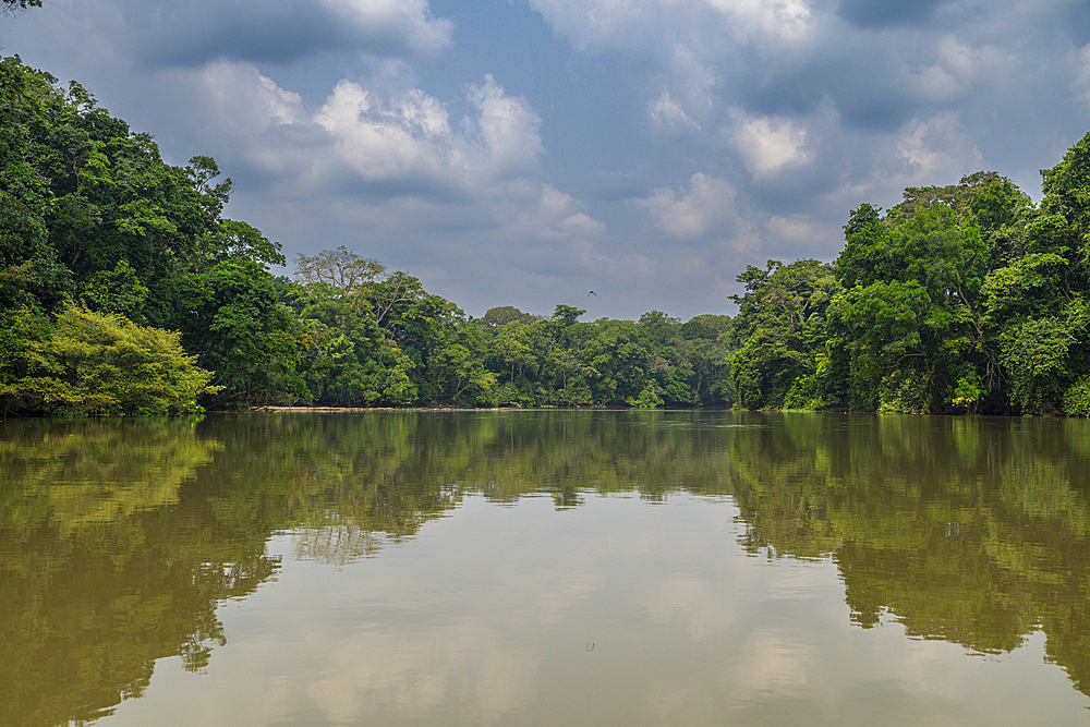 Sangha river in the Trinational Lobeke National Park, Republic of Congo